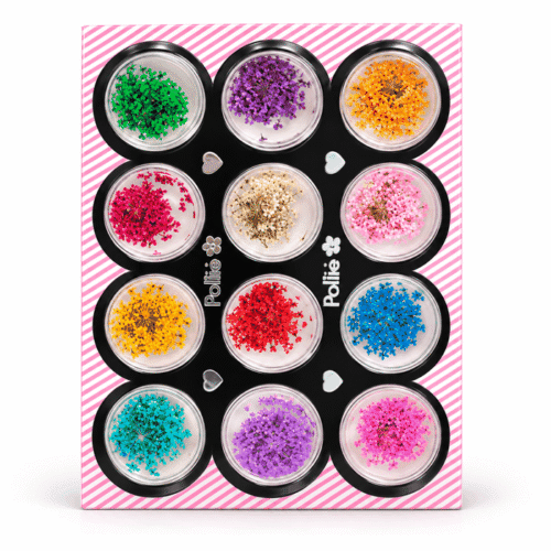 Flores secas Pollié para uñas, 12 colores