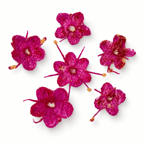 Flores rosas para decoración de uñas
